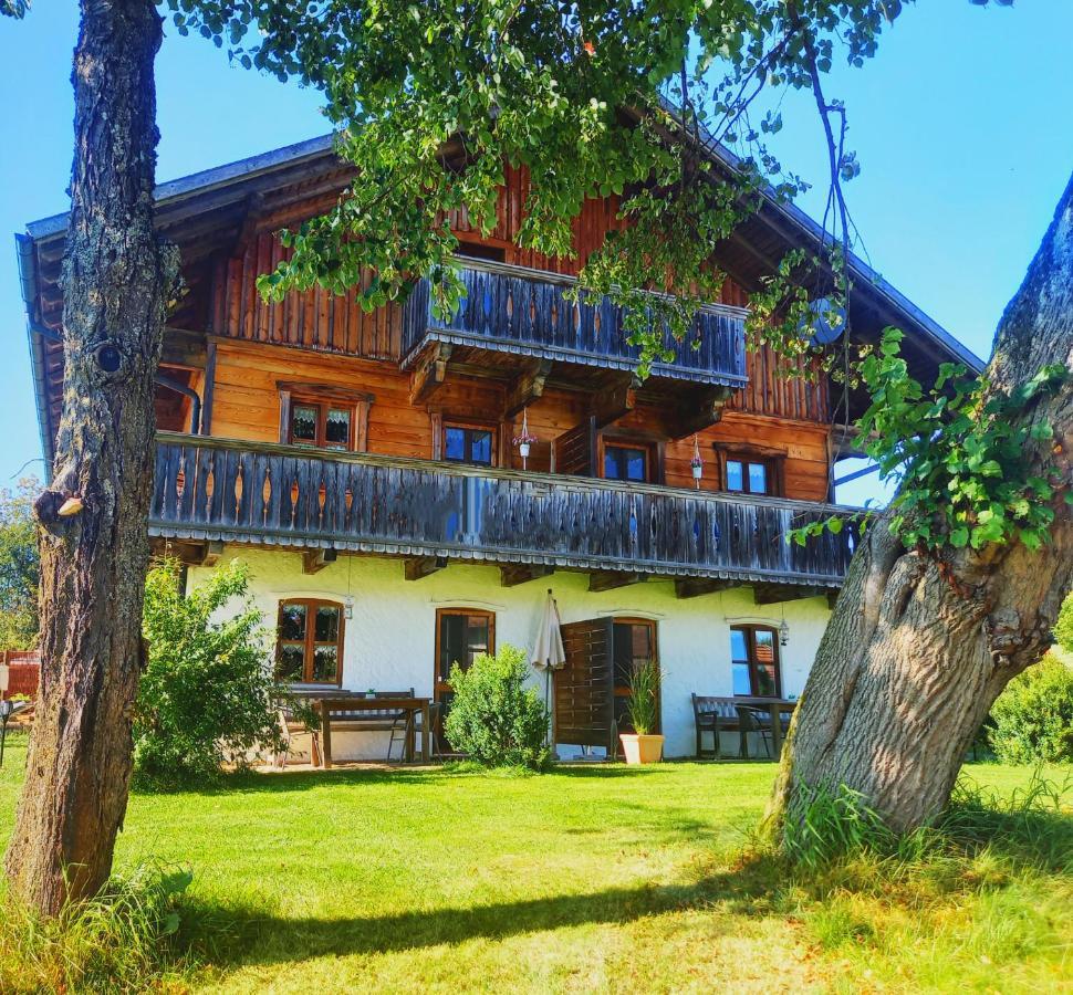 Apartment Friedl